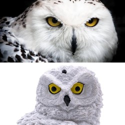 Owl shape - solar powered - outdoor - garden light lampSolar lighting