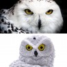 Owl shape - solar powered - outdoor - garden light lampSolar lighting