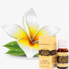 Fat burning - slimming massage oil 10mlMassage