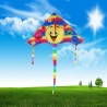 Triangle smiling face - kite 80 cmKites