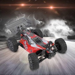 RC car REMO 1655 1/16 2.4G 4WD - waterproof - brushless - off roadCars