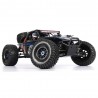 FS Racing FS33675P 1/8 2.4G 4WD - brushless - waterproof - desert buggy - RC carCars