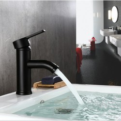 Black stainless steel basin faucetFaucets