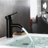 Black stainless steel basin faucetFaucets