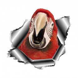 3D parrot - vinyl car sticker 13 * 12.5cmStickers