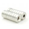 N35 neodymium magnet - strong ring 12 * 4 * 4mm 2 piecesN35