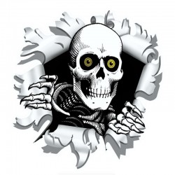 Car sticker with skull 15.9 * 15cmStickers