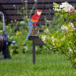 Solar powered LED parrot - garden lightSolar lighting