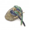 Double parrots - elegant broochBrooches