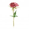 Elegant brooch with a red roseBrooches