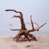 Natural tree trunk driftwood - aquarium & fish tank plant - wooden decorationAquarium