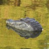 Flytec V005 2.4G - electric RC boat with crocodile head - RTR toyBoats